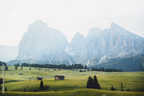 Kleine Holzhütten auf Blumenwiese mit Dolomiten Bergkette im Hintergrund und Gräser im Vordergrund photo
