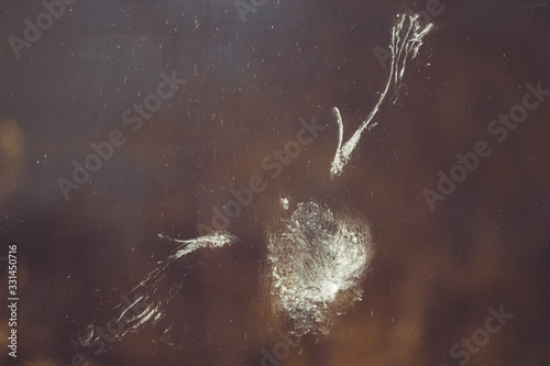 The impression of a pigeon bird's body, wings and feathers in powder down dust on a window after impact or collision