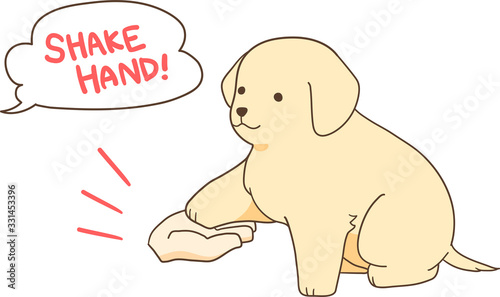 ゴールデンレトリバーの子犬（お手）