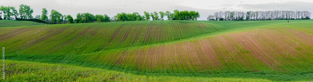 green field panorama in spring green field panorama in spring