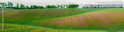  green field panorama in spring