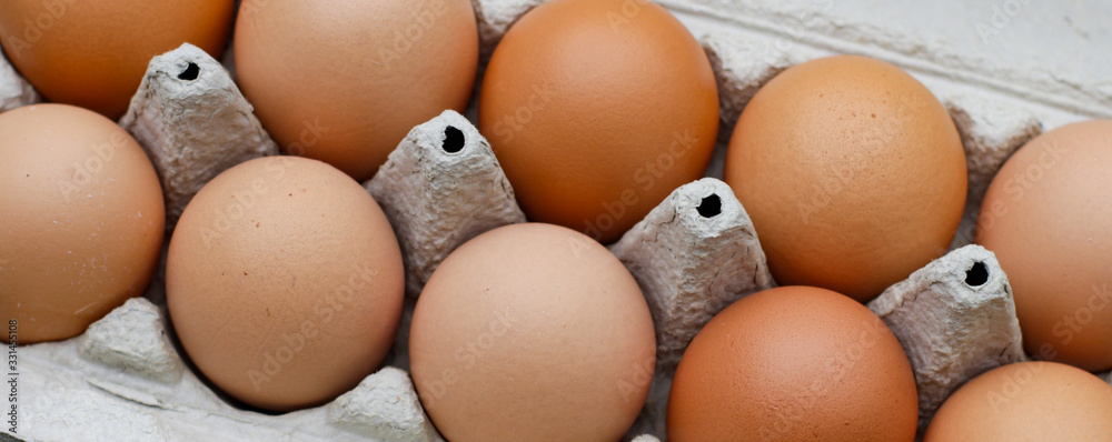 Bioeier Bioeier
