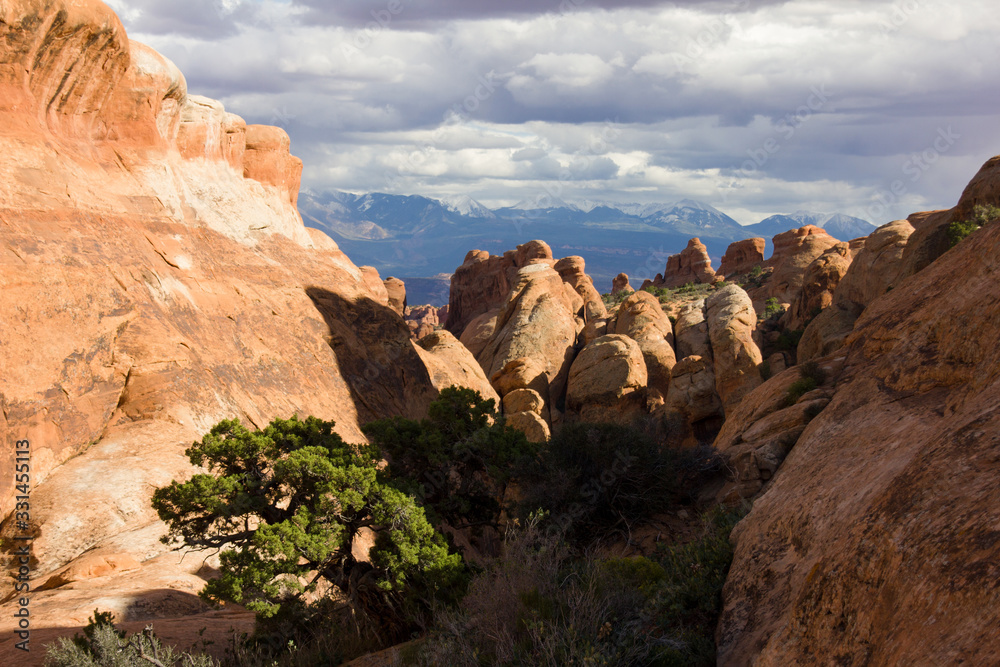 Fototapeta premium The desert countryside of Arches NP with rock formations.