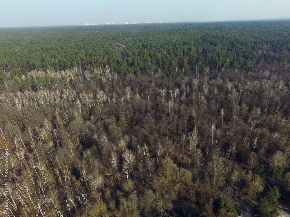 Drone view of the mixed forest in sunny spring day. Near Kiev