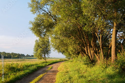 old rustic road in a field at sunset day