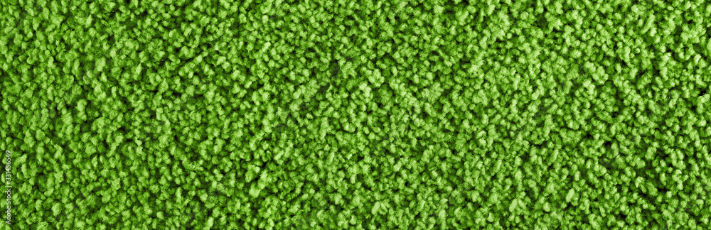 Texture of green carpet. Panorama. View from above.	