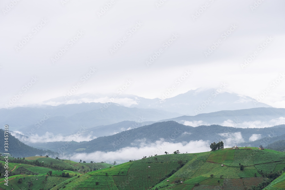 Rice fields beside the mountains in the north of Thailand during the rainy season Rice fields beside the mountains in the north of Thailand during the rainy season
