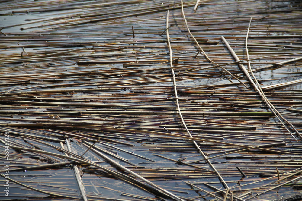 Floating dry cut reeds tubes Floating dry cut reeds tubes
