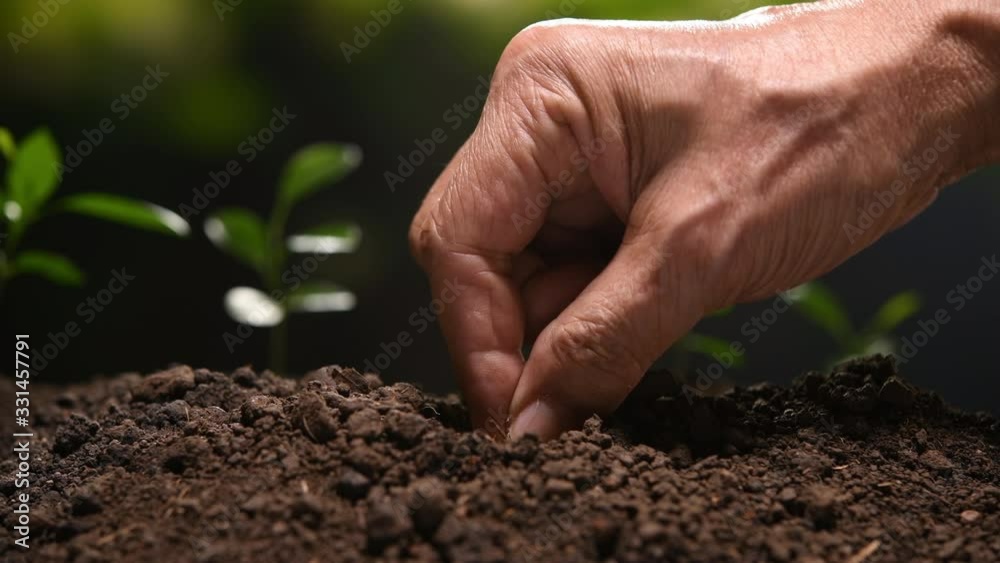 Farmer's hand planting seed in soil .