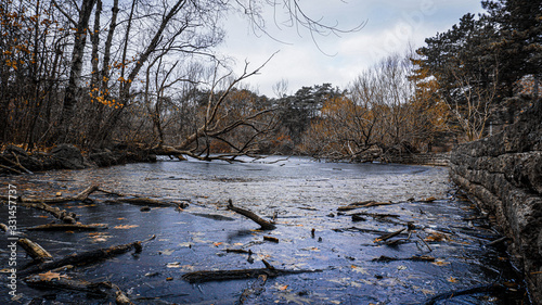 Photography Chaos in High Park, Toronto