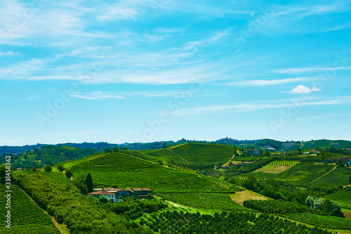 Vineyards on the hills in Piedmont province in Italy