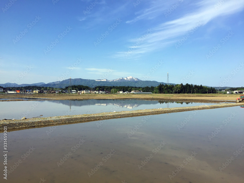 米山と水田