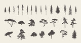 Set silhouettes trees pine fir cedar vector sketch