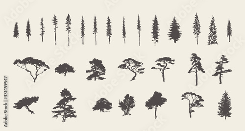 Fotografia Set silhouettes trees pine fir cedar vector sketch