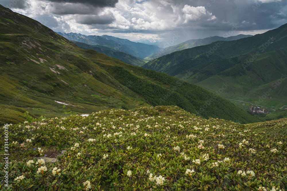 Summer season in Ushguli village surrounded by Caucasus mountain, Svaneti region in Georgia