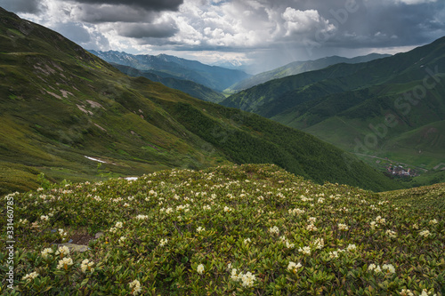 Summer season in Ushguli village surrounded by Caucasus mountain, Svaneti region in Georgia