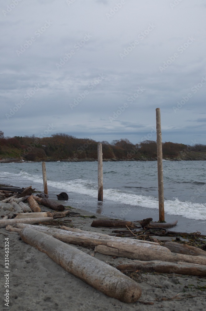 Fototapeta premium Beach