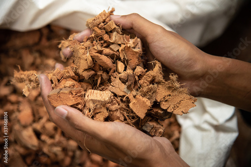 Coconut husk