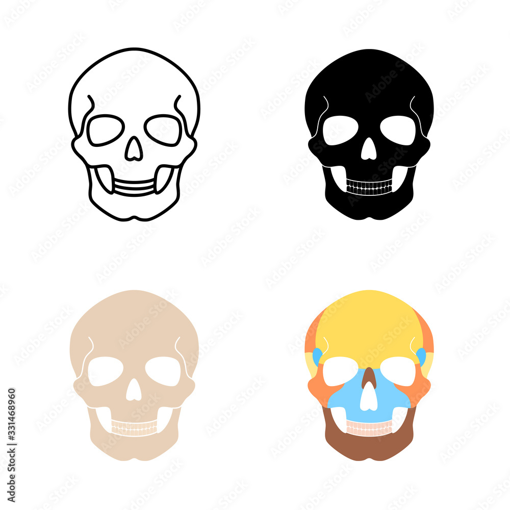 Human skull anatomy. Human skull anatomy.
