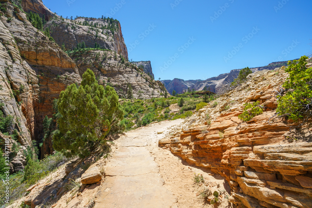 hiking the observation point trail in zion national park, usa hiking the observation point trail in zion national park, usa