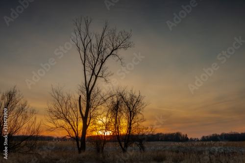 Sunset in the park in march