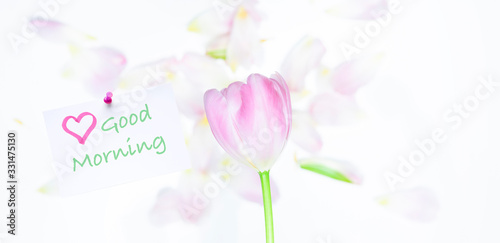 „Guten Morgen“ Gruß mit Blumen