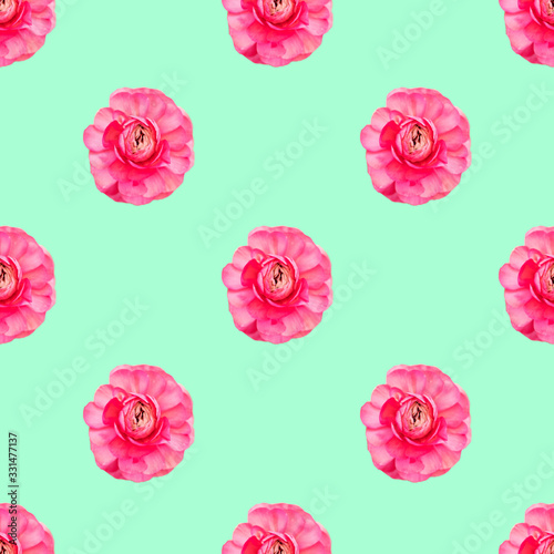 Seamless pattern light pink persian buttercup flowers Ranunculus