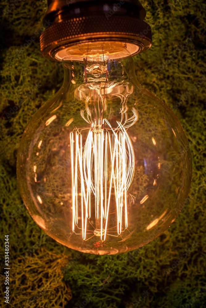 incandescent lamp on the background of a wall of green moss
