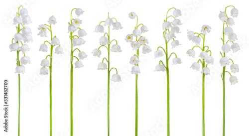 Set of Lily of the valley (Convallaria majalis) stems, blooming spring flowers, closeup, isolated on white background