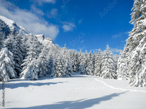 idyllic winter scene in bucegi mountains romania © pfongabe33