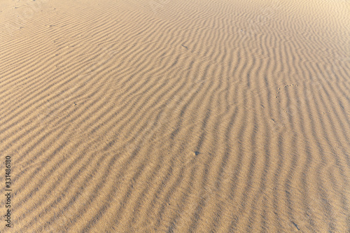 Sand Texture. Background from fine sand. Sand background. selective focus