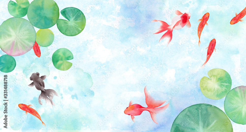 金魚と睡蓮の葉で構成した夏のイメージ背景 水彩イラスト Stock イラスト Adobe Stock
