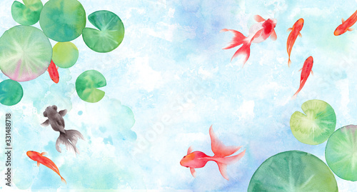 金魚と睡蓮の葉で構成した夏のイメージ背景 水彩イラスト Stock イラスト Adobe Stock