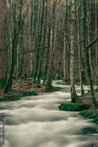 Long exposure of a creek in the forest in the swiss jura mountains