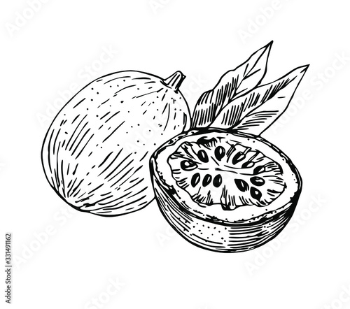 Passion fruit with half and leaves in line art style.