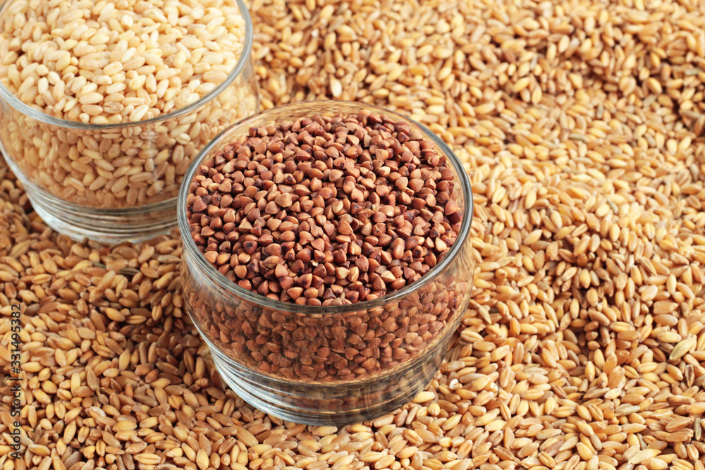 Natural,ripe wheat grains in the glass bowl on grains background. Natural,ripe wheat grains in the glass bowl on grains background.