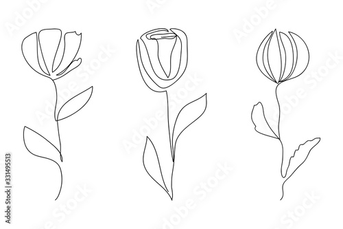 Vector line art flowers. Minimalism, elegant, isolated white background