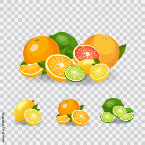 Fresh fruits vector illustration. Healthy diet concept. Organic fruits and berries. Mix of fruits on white background vector illustration. Fresh citrus concept