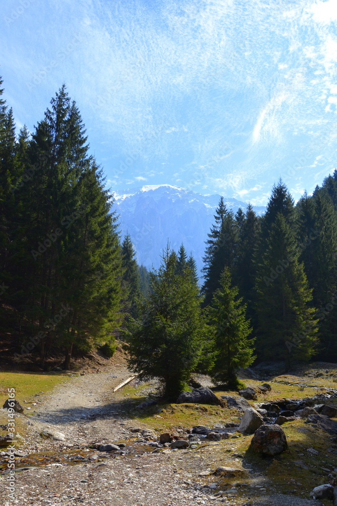 Piatra Craiului, landscape in Carpathian Mountains, Transylvania, which belongs to the South Romanian Carpathians. Piatra Craiului, landscape in Carpathian Mountains, Transylvania, which belongs to the South Romanian Carpathians.