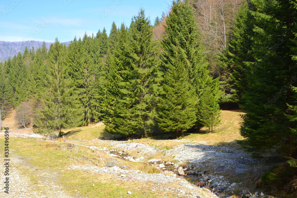 Piatra Craiului, landscape in Carpathian Mountains, Transylvania, which belongs to the South Romanian Carpathians. Piatra Craiului, landscape in Carpathian Mountains, Transylvania, which belongs to the South Romanian Carpathians.
