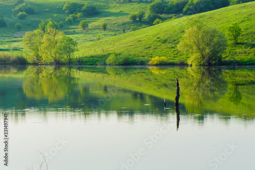 lake and green meadow near the water in sunny day. reflection of trees in water