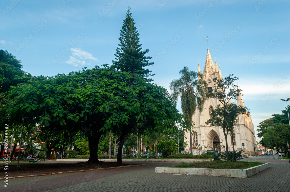 gothic church behind the tree