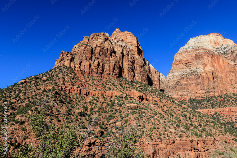Amazing View to the Forest Mountains of Zion National Park, Utah, USA