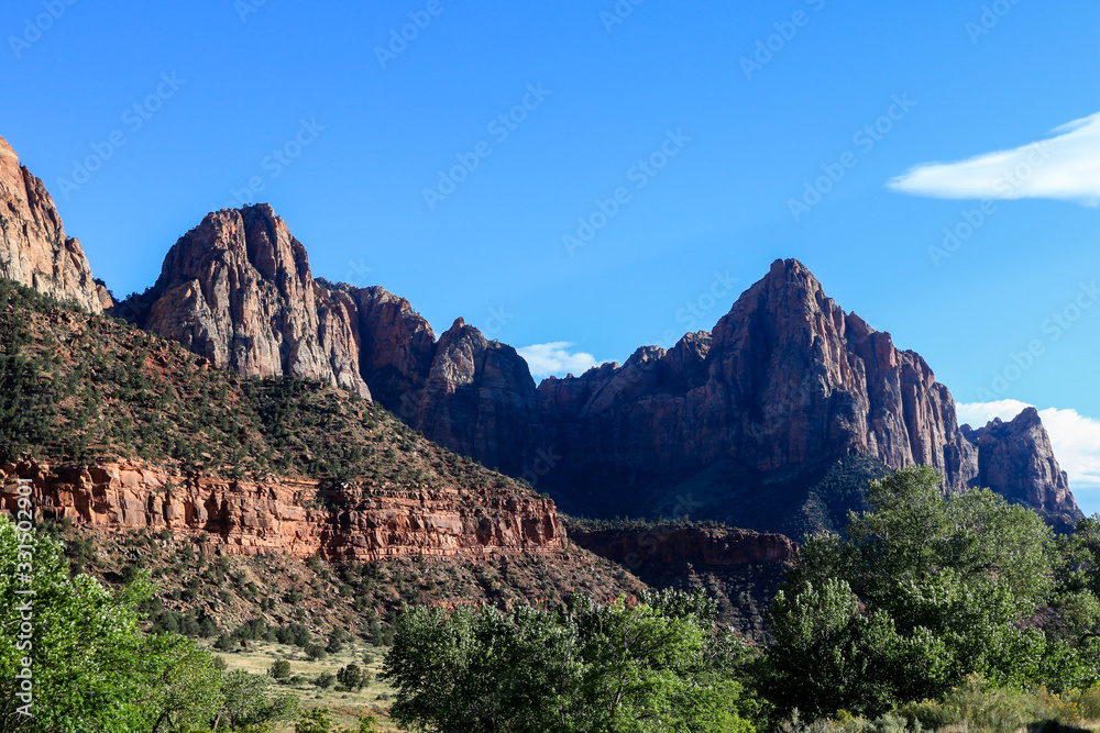 Amazing View to the Forest Mountains of Zion National Park, USA
