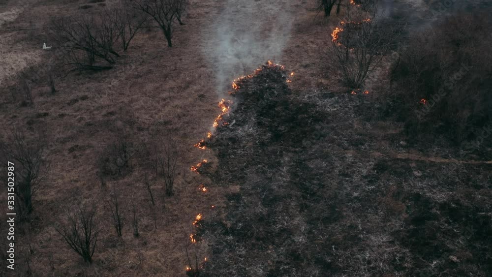 Top view and flying over the field with a line of fire. Epic video shooting, smoke clouds, the spread of fire. Deforestation, burning of dry grass. Climate change and ecology. Uncontrolled rural fire Top view and flying over the field with a line of fire. Epic video shooting, smoke clouds, the spread of fire. Deforestation, burning of dry grass. Climate change and ecology. Uncontrolled rural fire