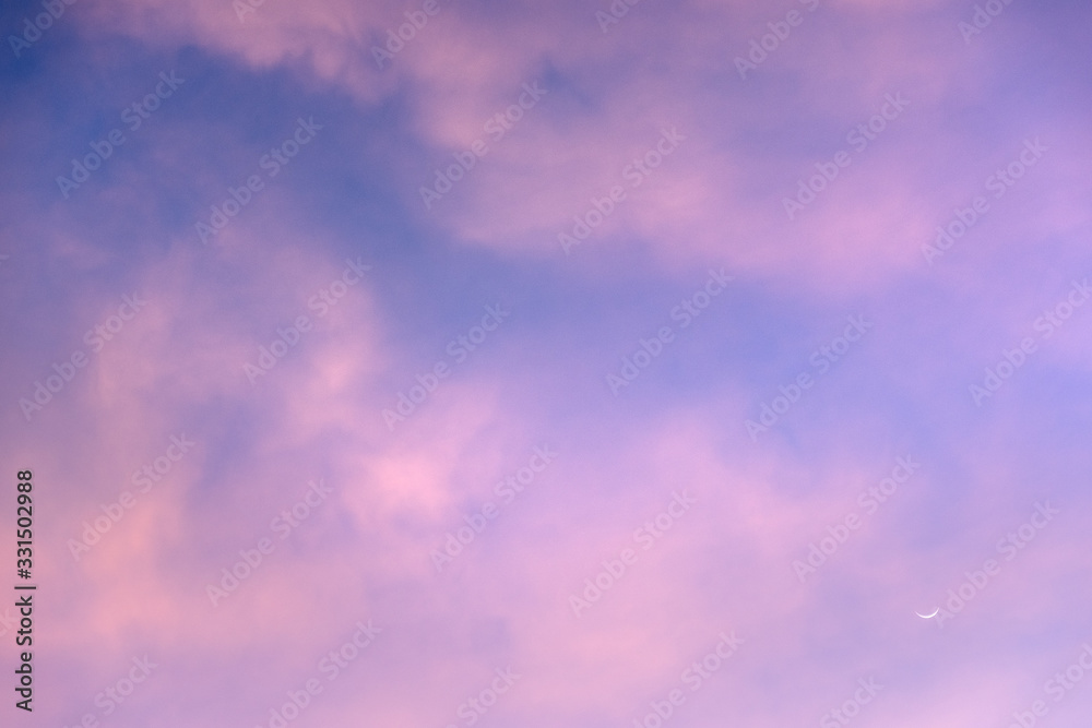 New Mexico Sky New Mexico Sky