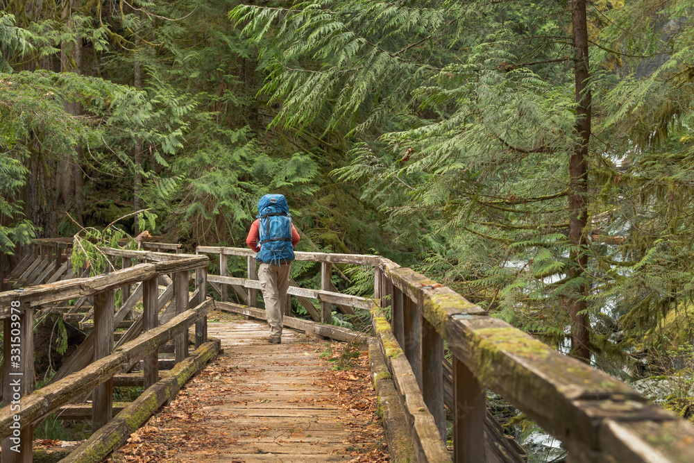 Backpacker on wooden bridge spanning Hidden Creek. Baker Lake Trail. North Cascades Washington. Washington. United States Backpacker on wooden bridge spanning Hidden Creek. Baker Lake Trail. North Cascades Washington. Washington. United States