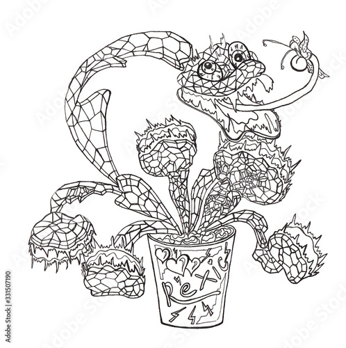 Diamond flower of madness.  Illustration. Black and white  graphics. A wonderful flower in  a pot. Fly swatter plant. Suitable  for printing on fabric  wrapping  paper  postcards.