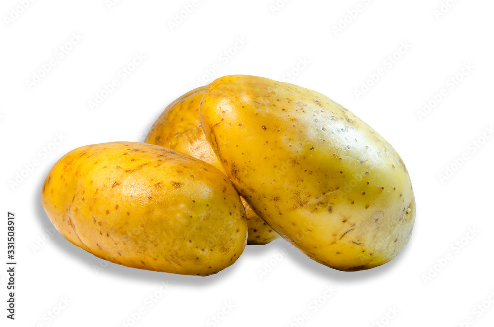 Fresh potato on a white background Fresh potato on a white background