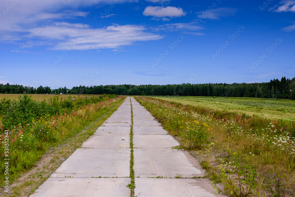 Picturesque rural road in an agricultural field, Leningrad region, Russia